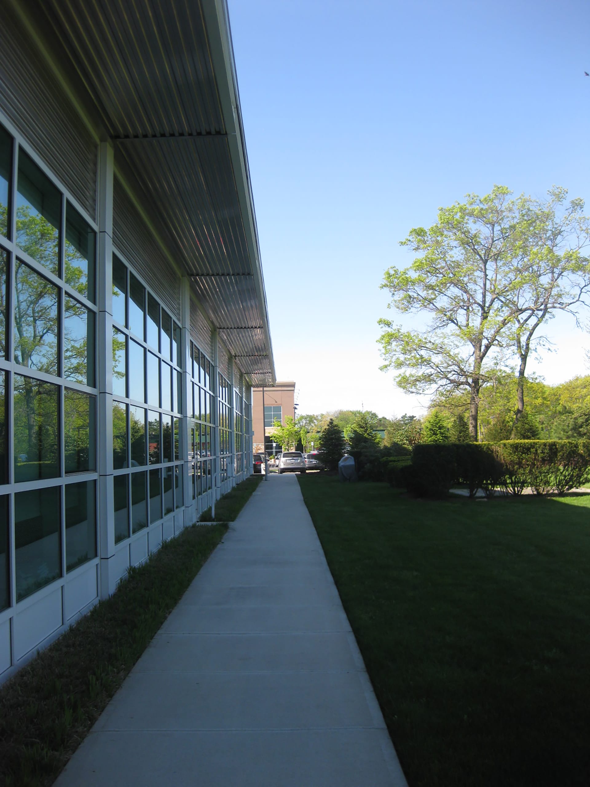 Exterior of a bicycle shop, with a parking lot, large expanses of glass, and bushes in front of the building.